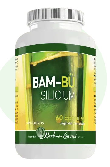 Bam-Bü Silicium - Herb-e-Concept - 60 capsules